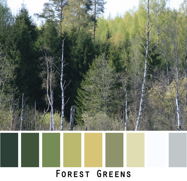 Forest Greens photograph of every shade of green fir and birch forest made into a color card for custom ordering knits from Inese Iris Liepina. Colors include green, olive, forest green, chartreuse, sage.
