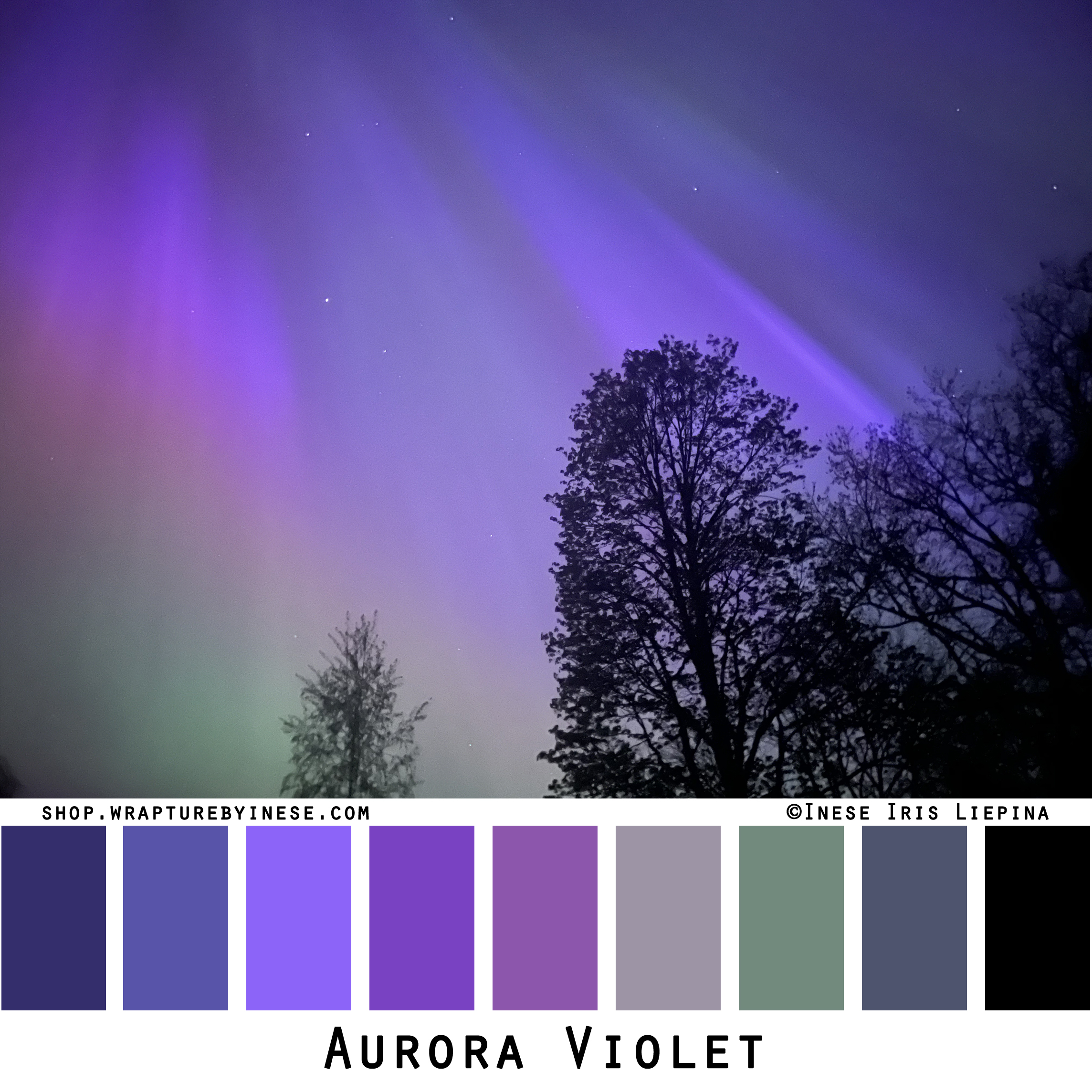 Aurora Violet - Wrapture by Inese
