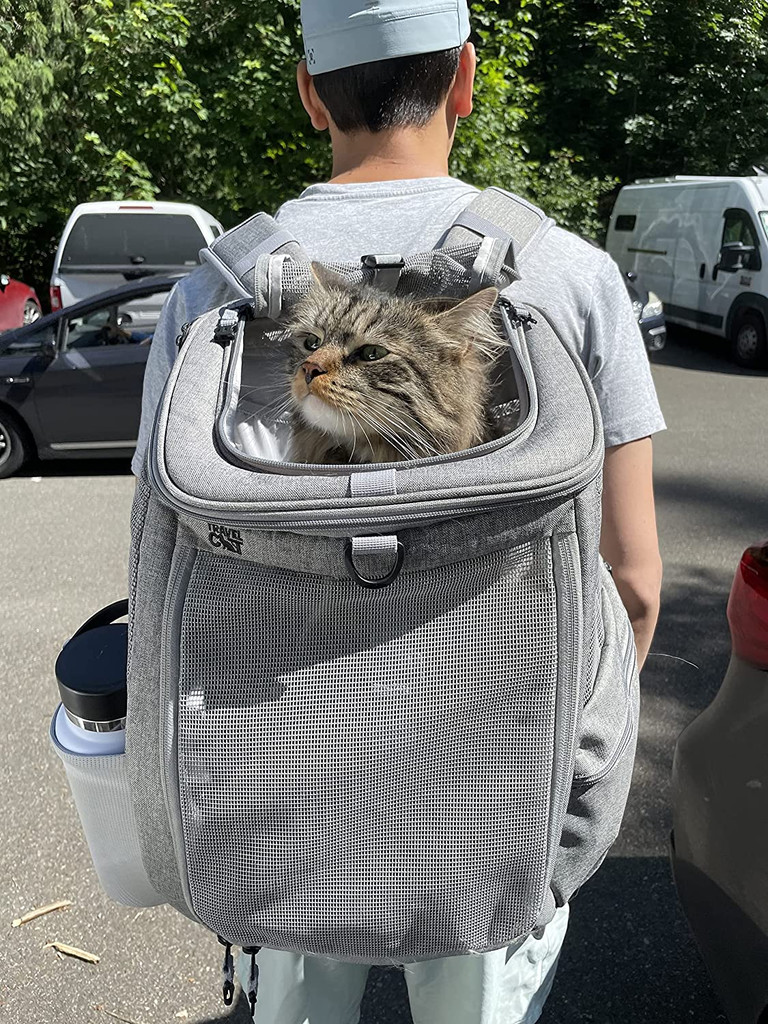 "The Fat Cat" Navigator Cat Backpack - Convertible