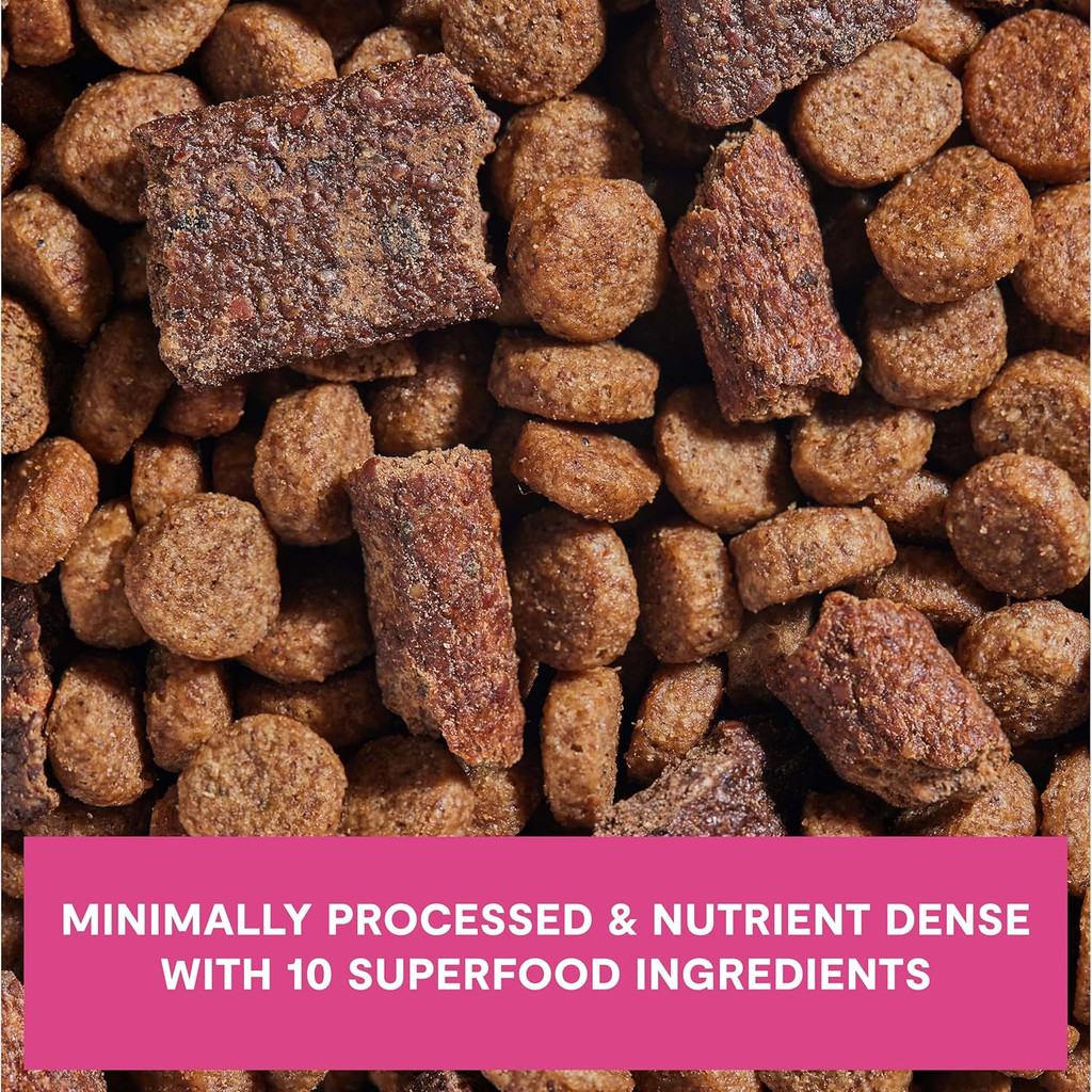 Open Farm Dog Epic Blend Salmon & Superfood