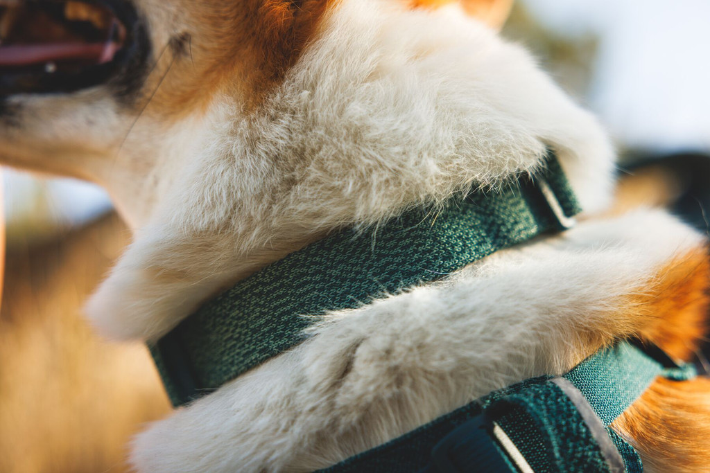 RuffWear Front Range™ Flex Collar Deep Teal