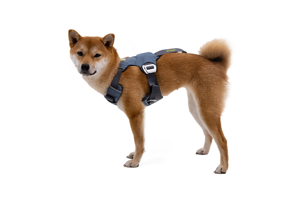 RuffWear Load Up™ Harness Slate Blue