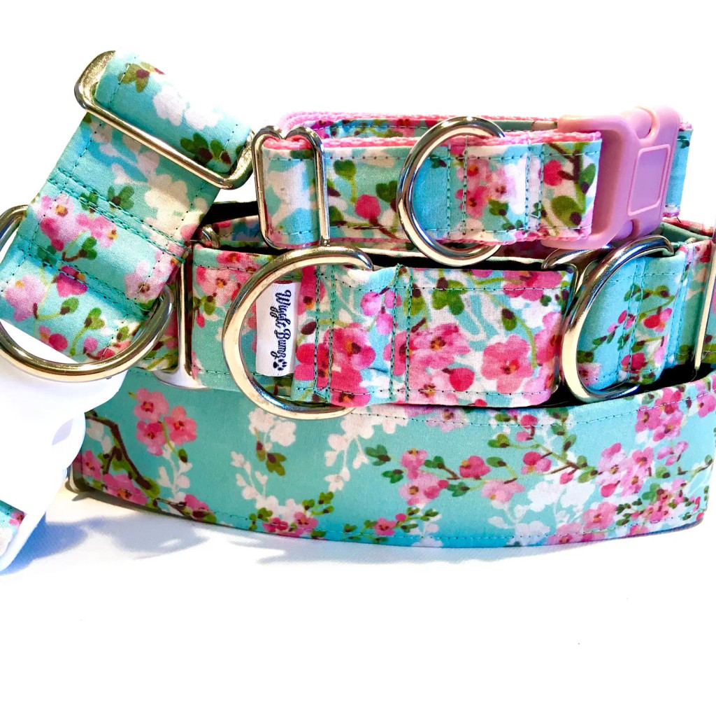 Wiggle Bumz Apple Blossom Dog Collar - Buckle