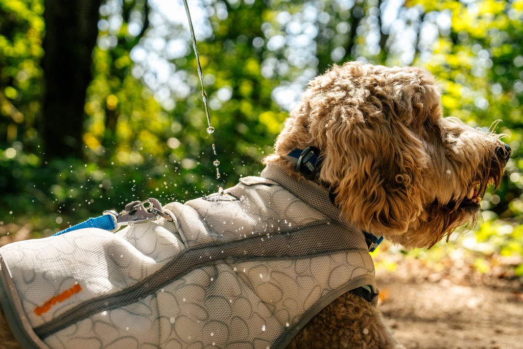 RuffWear Swamp Cooler™ Vest Graphite Gray 2026