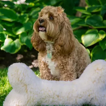 Hugglehound Fleece Bone 24"