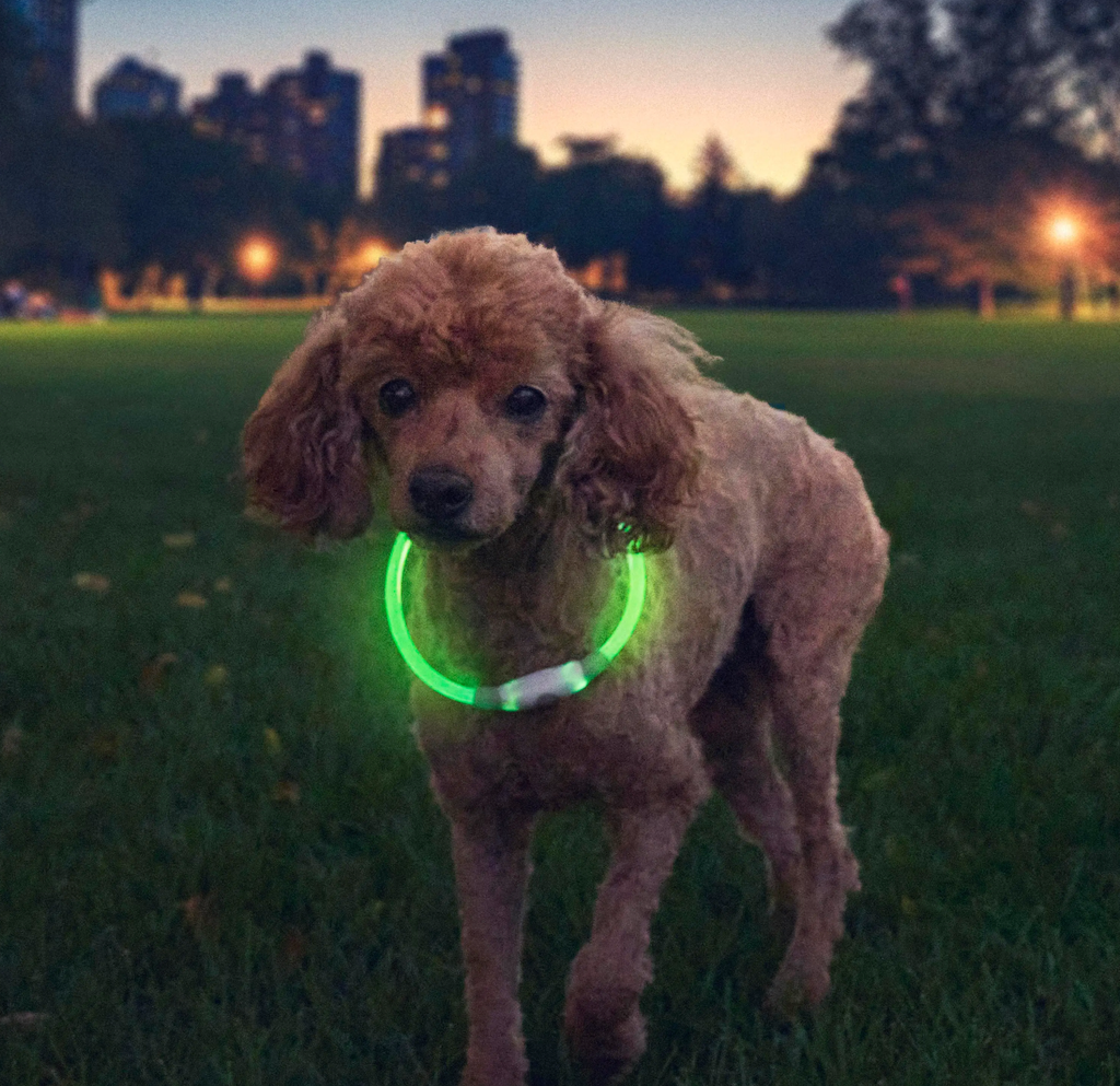 NiteHowl® Rechargeable LED Safety Necklace