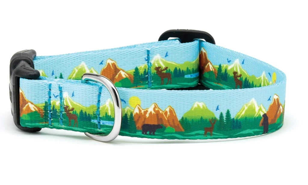 Up Country Get Outdoors Collar