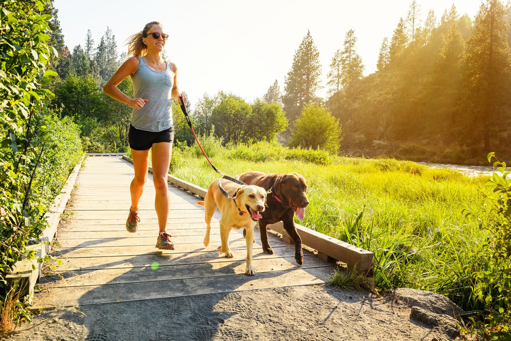 Ruffwear Roamer Leash - Granite Gray