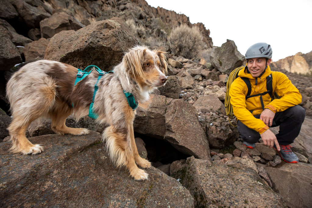 Ruffwear Flagline Harness - Meltwater Teal