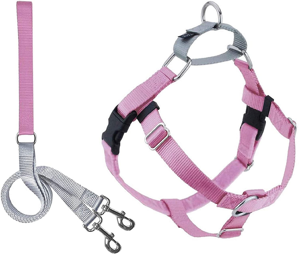 Wiggles & Wags 1" Wide Keystone Harness Package