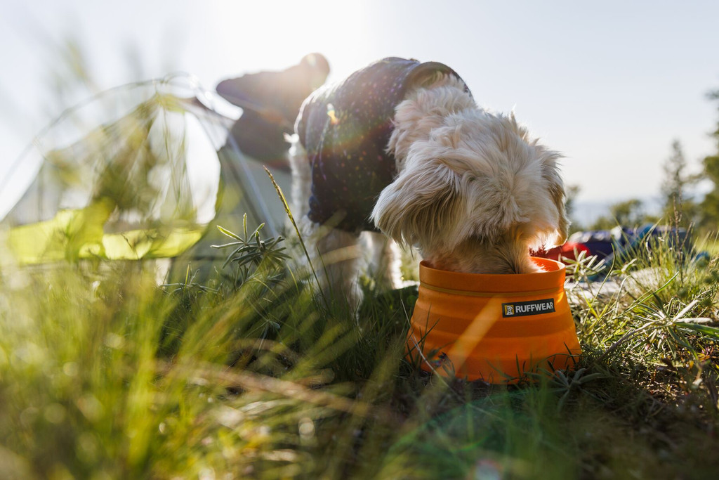 Ruffwear Bivy™ Bowl  - Salamander Orange