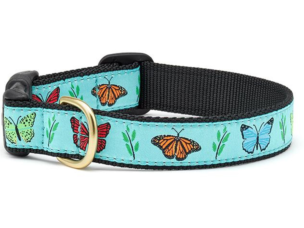 Up Country Butterfly Effect Collar