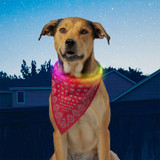 NiteHowl® Bandana Rechargeable LED Safety Necklace - Disc-O Select™ - Red