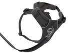 RuffWear Front Range Harness 2024