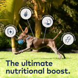 Ziwi Peak Lamb & Mackerel DOG