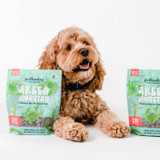 Polka Dog  Green Monstah Bits