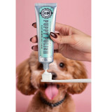 Wag & Bright- Puppy Polish - Natural Canine Toothpaste - Filet Mignon