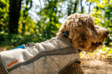 RuffWear Swamp Cooler™ Vest Graphite Gray 2026