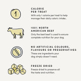 Crumps' Naturals Dog Mini Trainers FD Beef 126g