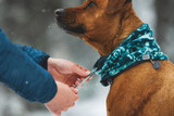 RuffWear Mt. Hoodie™ Warming Neck Gaiter