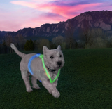 NiteHowl™ Rechargeable Lite Suit - Disc-O Select™