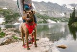 RuffWear Front Range Collar