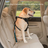 Kurgo Direct to Seatbelt Tether