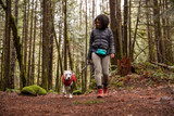 Ruffwear Home Trail Hip Pack