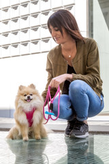 Curli Stretch Comfort Leash - MED