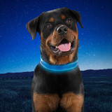 Nite Ize Rechargeable LED Collar