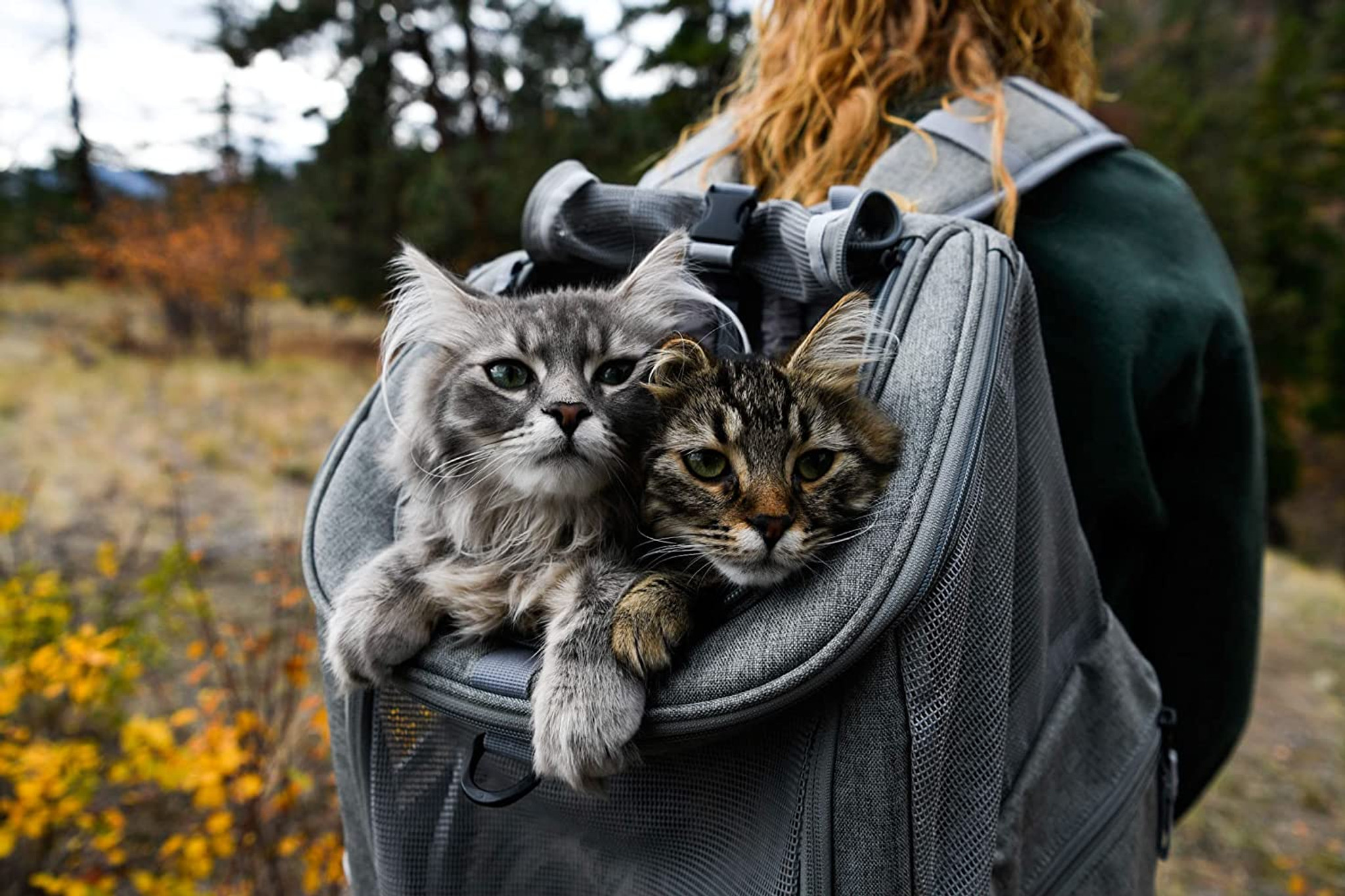 The Transpurrter Ultimate Calming Convertible Cat Carrier in Heather Grey and Teal / Your Cat Backpack