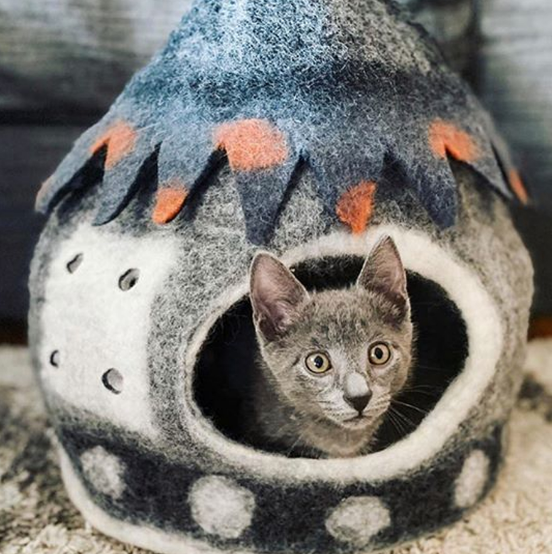 karma cat bed