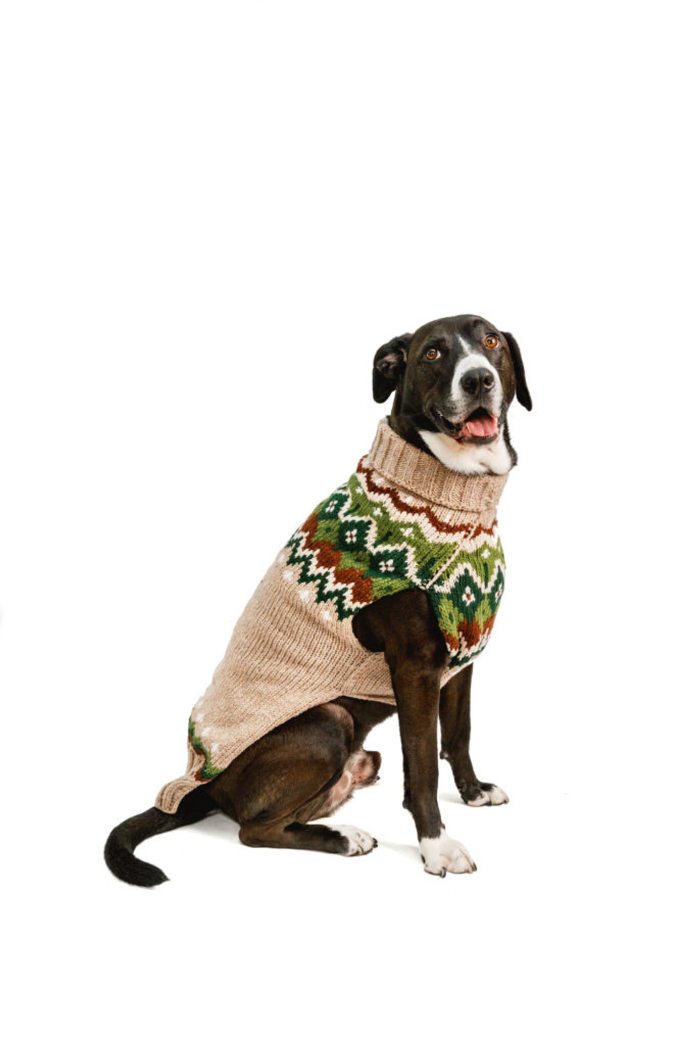 Chilly Dog Rag Wool Fairisle Sweater Bark Bath Beyond Pet