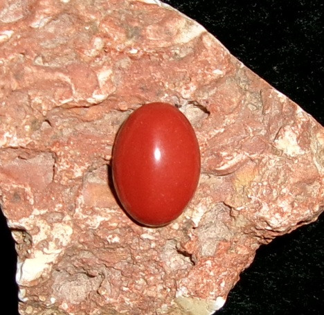 Stone with MOXIE