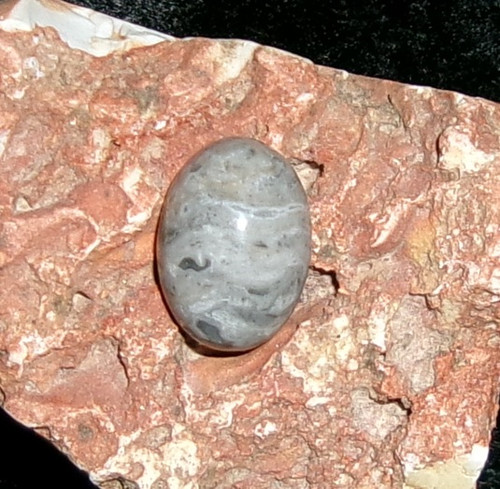 Stone with WERE-SNOW LEOPARD