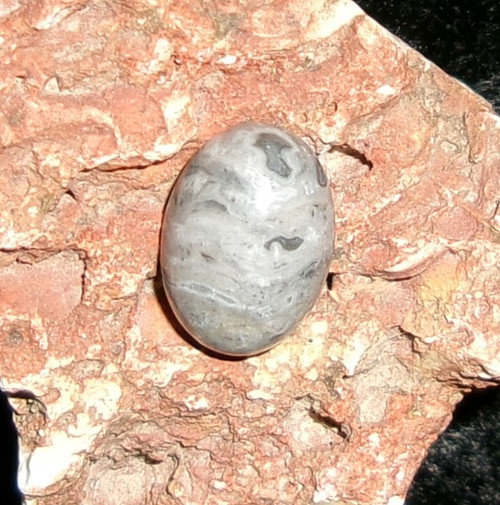 Cabochon Stone with GRAY DRAGON