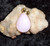 Crystal Pendant with GODDESS APHRODITE Portal