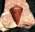 Stone with EARTH DWARF