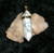 Stone Pendant with EGYPTIAN TEMPLE DJINN