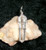 Pendant with WARRIOR ANGEL