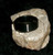 Stainless Steel ring with MASTER CARPATHIAN VAMPIRE