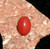 Stone with MOXIE