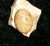 Stone Cabochon with LUCK & MONEY PLUS EVIL EYE AND CURSE PROTECTION SPELLS