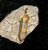 Stone Point Pendant with MARDU DJINN