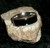Ring with MASTER BALKIN VAMPIRE