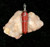 Pendant with Hippalectyron