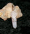 Pendant with Arkan Sonney