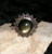 Ring with SIX DARK ROYALS