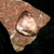 Stone with DAKINI