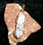 Pendant with PEGASUS